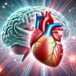 Un corazón sano para un cerebro longevo: Lo que la ciencia nos enseña sobre la conexión entre salud cardiovascular y longevidad